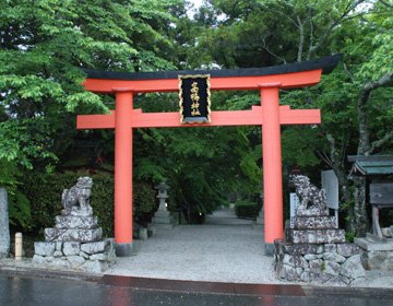 ⛩️ 타카카모 신사 이미지 8